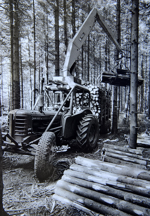 Foto Kranfahrzeug im Waldbestand