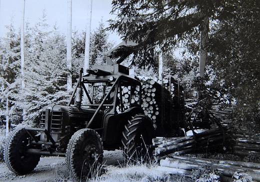 Foto Verladen von Schichtholz mit Kran