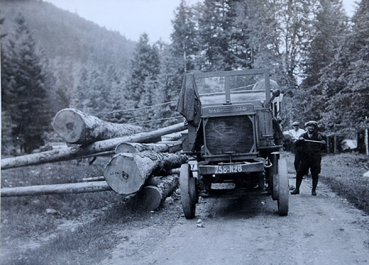 Foto Aufrollen von Langholz mit Seilwinde
