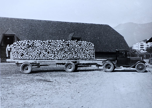 Foto Transport von Papierholz