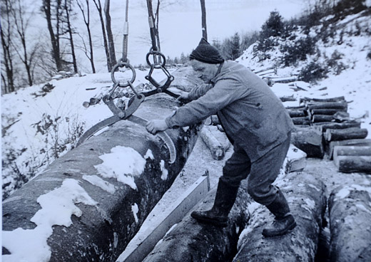Foto Verladen von Nutzholz mit Kran