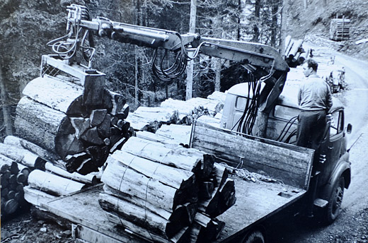 Foto Verladen von Schichtholzbündel mit Kran