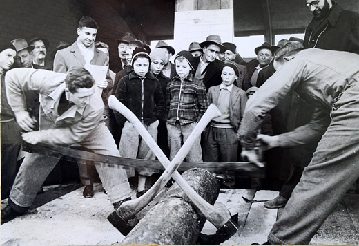 Foto Holzerwettkampf