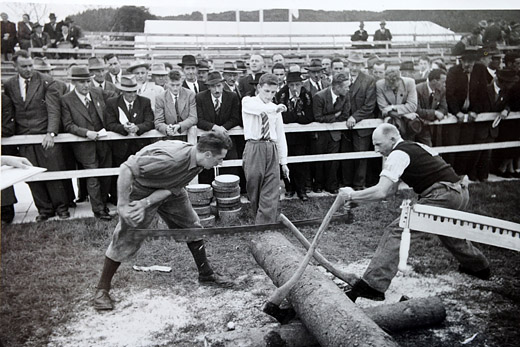 Foto Holzerwettkampf