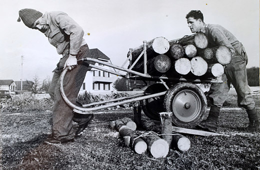 Foto Holzwettkampf