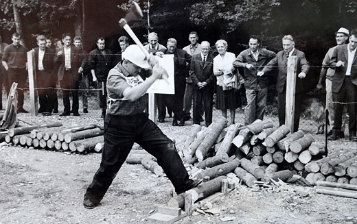 Foto Holzerwettkampf