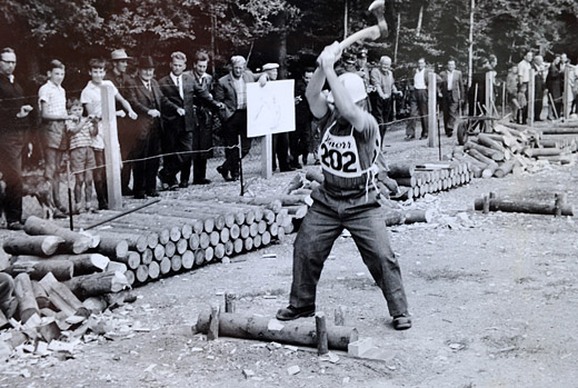 Foto Holzerwettkampf