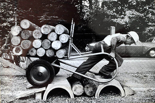 Foto Holzerwettkampf