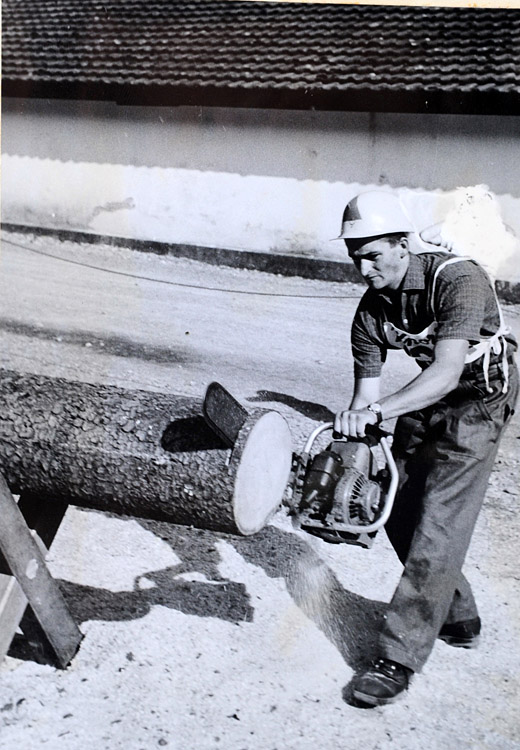 Foto Holzerwettkampf