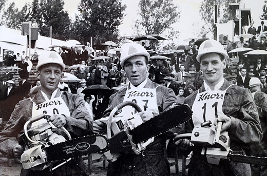 Foto Holzerwettkampf