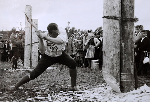 Foto Holzerwettkampf