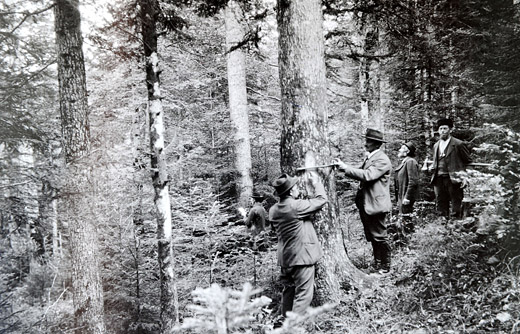 Foto Holzanzeichnung