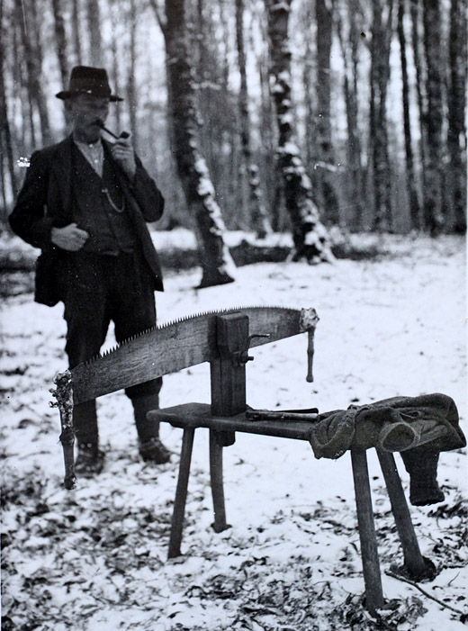 Foto Feilbock im Wald
