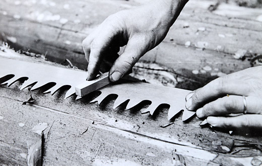 Foto Wetzen einer Waldsäge