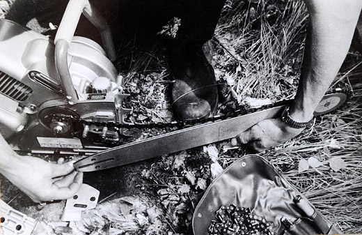 Foto Motorsäge