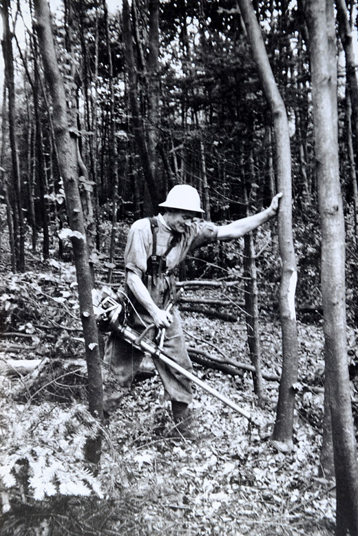 Foto Durchforstungsgerät