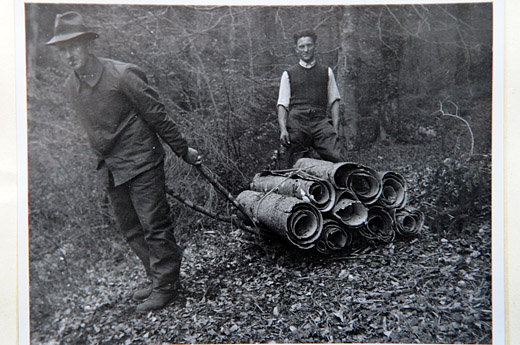 Foto Transport von Rinde