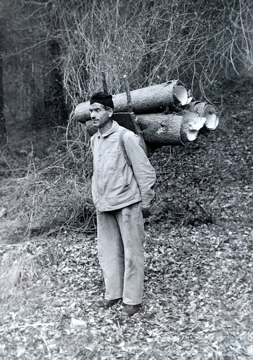 Foto Transport von Rinde