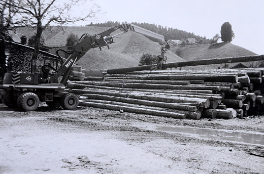 Foto Kranfahrzeug auf Holzlagersammelplatz