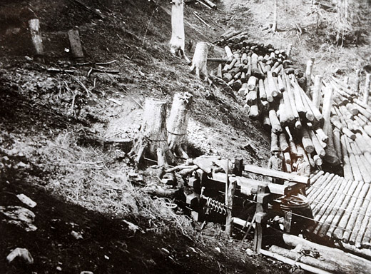 Foto Drahtseilriese