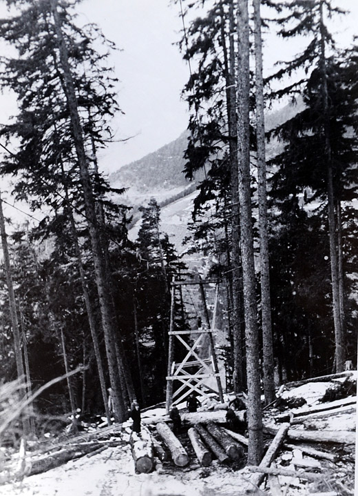 Foto Seilbahn Schönholzer