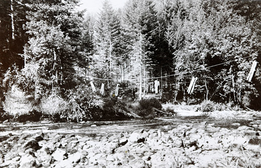 Foto Seilbahn System Maitre
