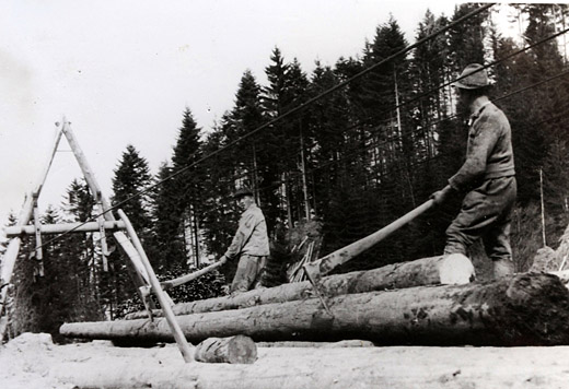 Foto Valtelina Umlaufseilbahn
