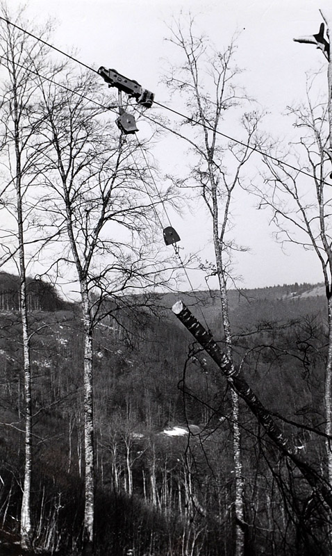 Foto Holzaufseilen