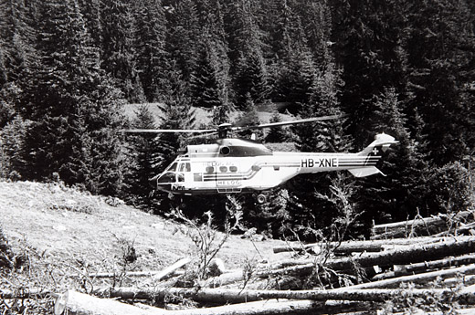 Foto Holz fliegen mit Super Puma