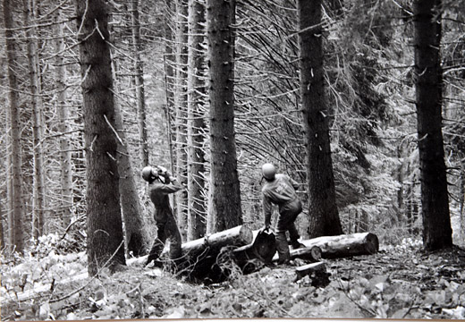 Foto Holz Transport mit Helikopter
