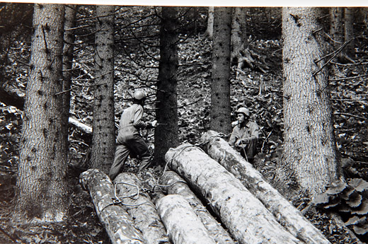 Foto Holz Transport mit Helikopter