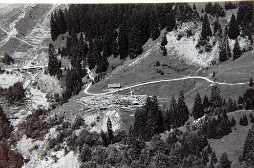 Foto Holz Transport mit Helikopter