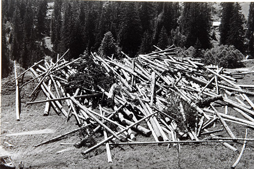 Foto Holz Transport mit Helikopter