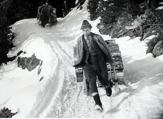 Foto Papierholztransport mit Schlitten