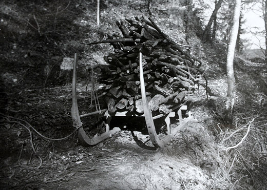 Foto Transport von Astholz mit Hornschlitten