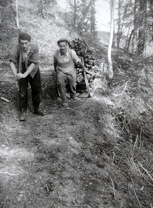 Foto Transport von Aesten auf Hornschlitten