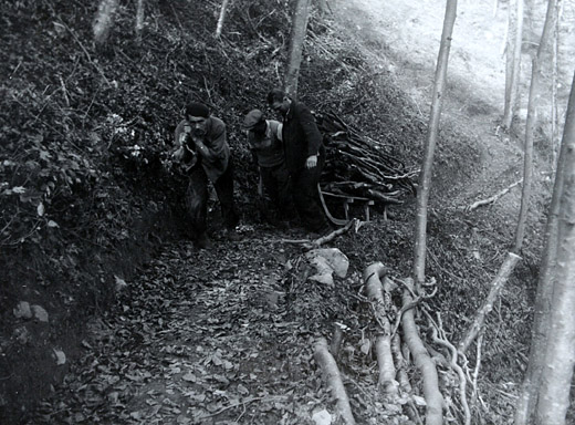 Foto Holztransport von Aesten mit Hornschlitten