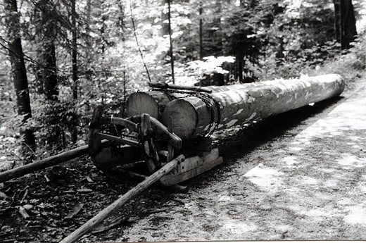 Foto Trämeltransport mit Schlitten