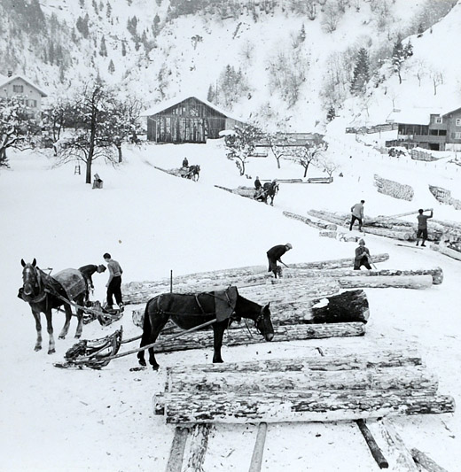 Foto Holzlagerplatz im Prätigau