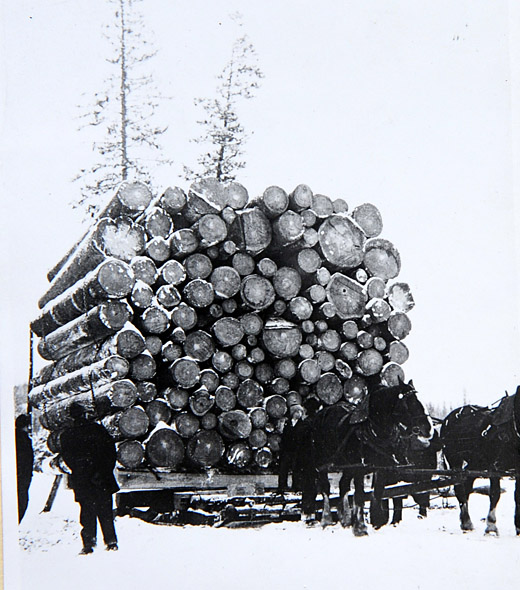 Foto Riesiges Fuhrwerk mit Holz