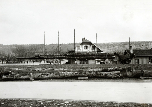 Foto Transport Föhren Langholz