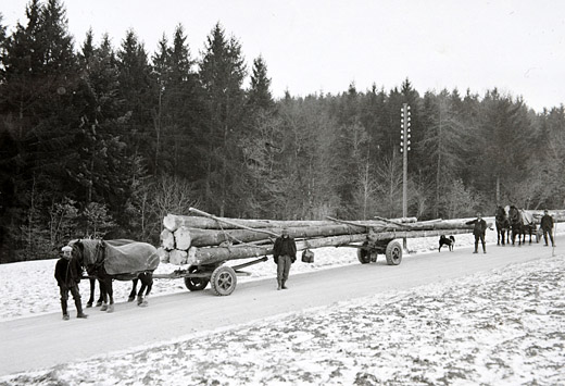 Foto Langholztransport