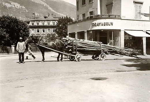 Foto Brennholztransport
