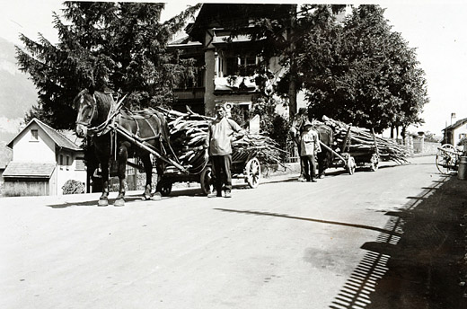 Foto Holztransport für Gasstudien
