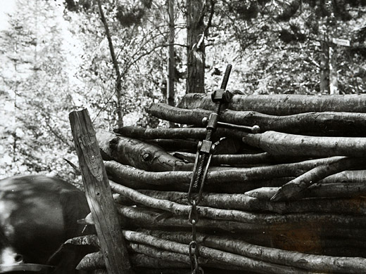 Foto Brennholz gesichert