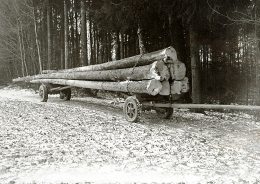 Foto Langholztransport