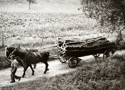 Foto Brennholztransport