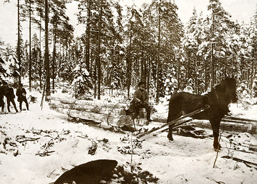 Foto Pferdefuhrwerk in Schweden