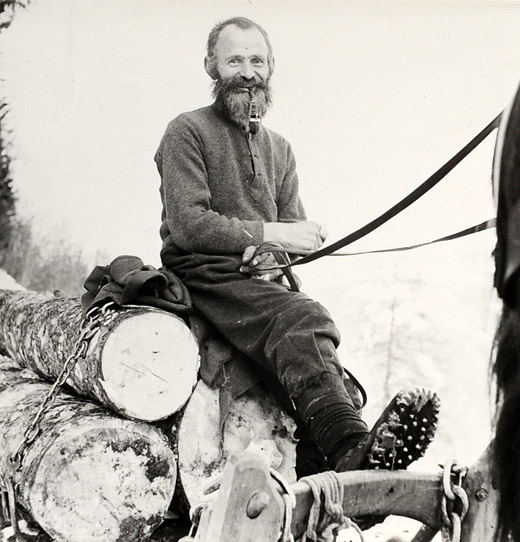 Foto Fuhrmann im Winter