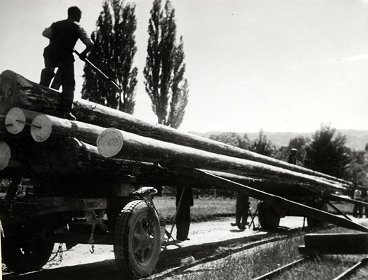 Foto Langholztransport